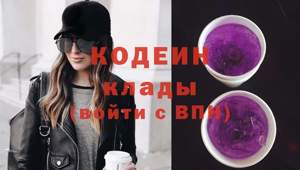 прущий лед Инта