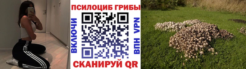 Купить закладки  Ржев  Галлюциногенные грибы MAGIC MUSHROOMS 